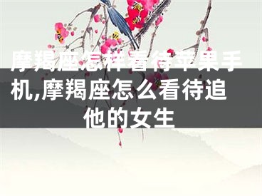 摩羯座怎样看待苹果手机,摩羯座怎么看待追他的女生