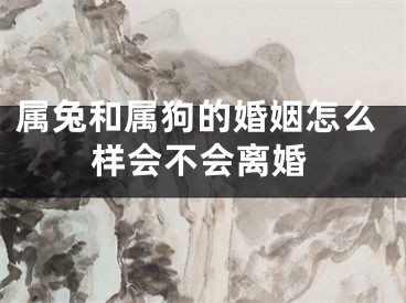 属兔和属狗的婚姻怎么样会不会离婚