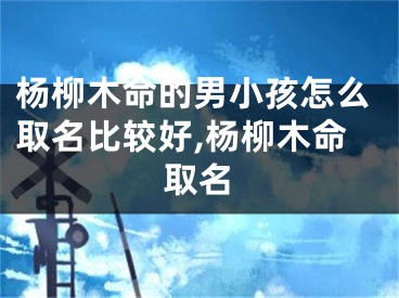 杨柳木命的男小孩怎么取名比较好,杨柳木命取名