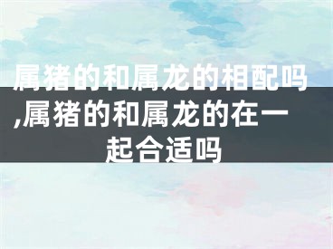 属猪的和属龙的相配吗,属猪的和属龙的在一起合适吗