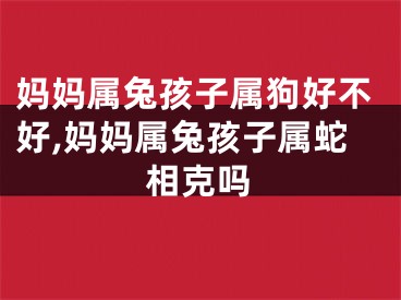 妈妈属兔孩子属狗好不好,妈妈属兔孩子属蛇相克吗