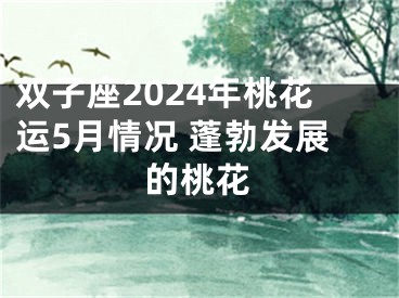 双子座2024年桃花运5月情况 蓬勃发展的桃花