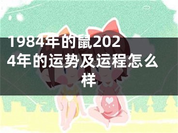 1984年的鼠2024年的运势及运程怎么样