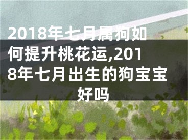 2018年七月属狗如何提升桃花运,2018年七月出生的狗宝宝好吗