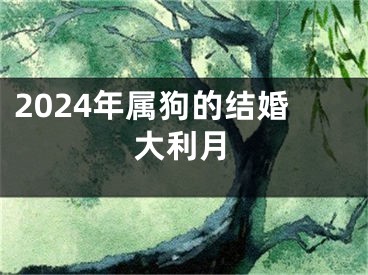 2024年属狗的结婚大利月