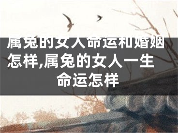 属兔的女人命运和婚姻怎样,属兔的女人一生命运怎样