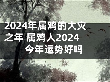 2024年属鸡的大灾之年 属鸡人2024今年运势好吗