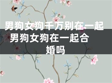 男狗女狗千万别在一起  男狗女狗在一起合婚吗