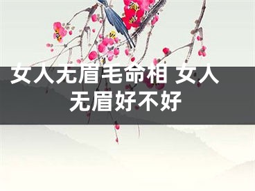 女人无眉毛命相 女人无眉好不好