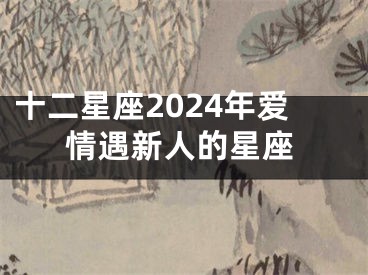 十二星座2024年爱情遇新人的星座