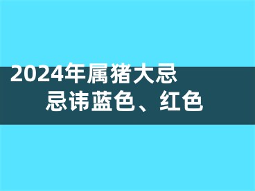 2024年属猪大忌 忌讳蓝色、红色