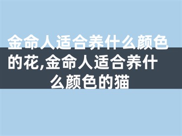 金命人适合养什么颜色的花,金命人适合养什么颜色的猫