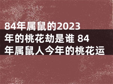 84年属鼠的2023年的桃花劫是谁 84年属鼠人今年的桃花运