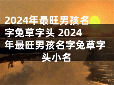 2024年最旺男孩名字兔草字头 2024年最旺男孩名字兔草字头小名