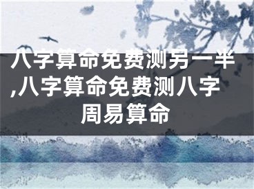 八字算命免费测另一半,八字算命免费测八字周易算命