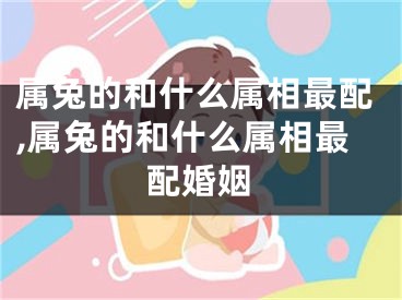 属兔的和什么属相最配,属兔的和什么属相最配婚姻