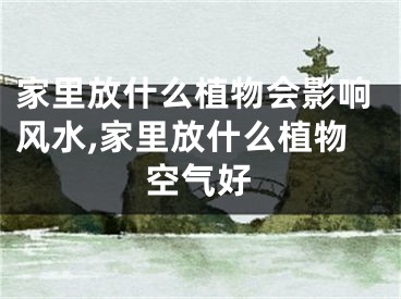 家里放什么植物会影响风水,家里放什么植物空气好