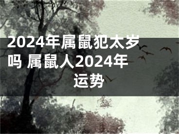 2024年属鼠犯太岁吗 属鼠人2024年运势