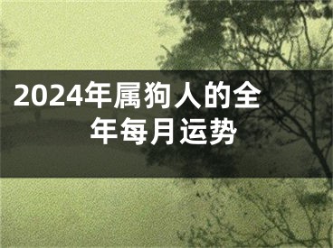 2024年属狗人的全年每月运势