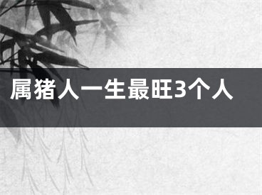 属猪人一生最旺3个人