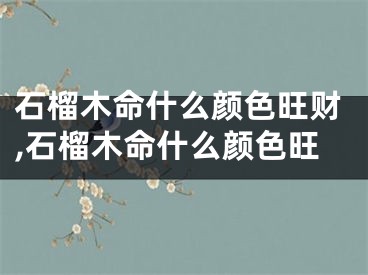 石榴木命什么颜色旺财,石榴木命什么颜色旺