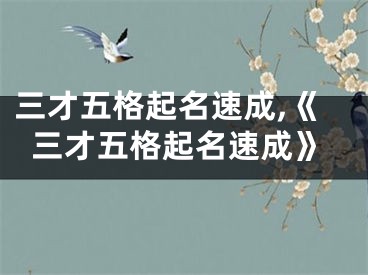 三才五格起名速成,《三才五格起名速成》