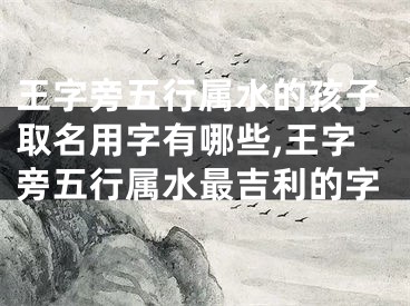 王字旁五行属水的孩子取名用字有哪些,王字旁五行属水最吉利的字