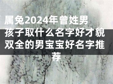 属兔2024年曾姓男孩子取什么名字好才貌双全的男宝宝好名字推荐