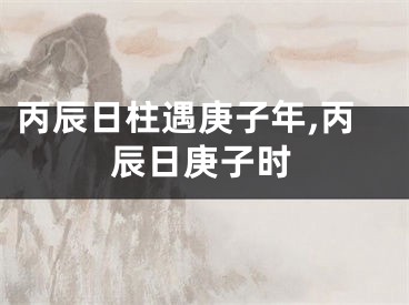 丙辰日柱遇庚子年,丙辰日庚子时