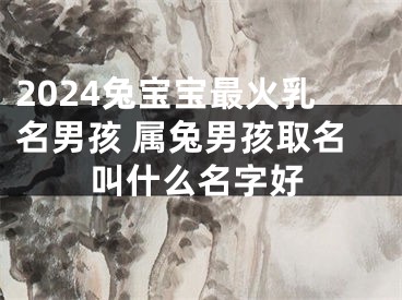 2024兔宝宝最火乳名男孩 属兔男孩取名叫什么名字好