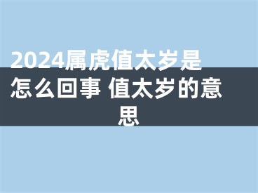 2024属虎值太岁是怎么回事 值太岁的意思