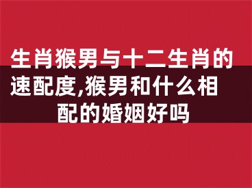 生肖猴男与十二生肖的速配度,猴男和什么相配的婚姻好吗