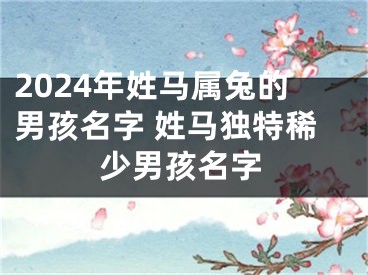 2024年姓马属兔的男孩名字 姓马独特稀少男孩名字