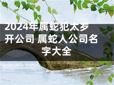 2024年属蛇犯太岁开公司 属蛇人公司名字大全