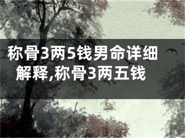 称骨3两5钱男命详细解释,称骨3两五钱