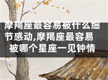 摩羯座最容易被什么细节感动,摩羯座最容易被哪个星座一见钟情
