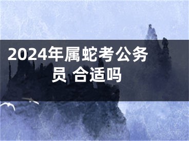 2024年属蛇考公务员 合适吗