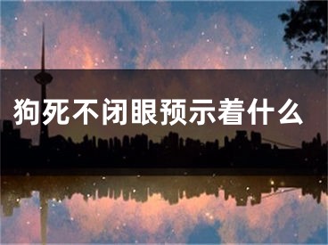 狗死不闭眼预示着什么
