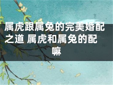 属虎跟属兔的完美婚配之道 属虎和属兔的配嘛