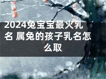 2024兔宝宝最火乳名 属兔的孩子乳名怎么取