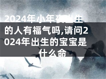 2024年小年夜出生的人有福气吗,请问2024年出生的宝宝是什么命