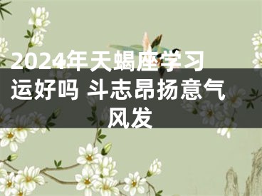 2024年天蝎座学习运好吗 斗志昂扬意气风发