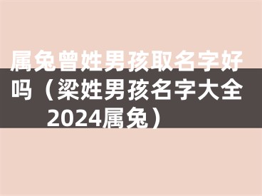 属兔曾姓男孩取名字好吗（梁姓男孩名字大全2024属兔）