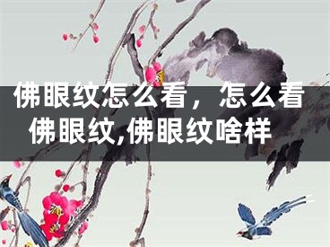 佛眼纹怎么看，怎么看佛眼纹,佛眼纹啥样