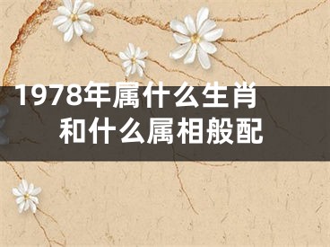 1978年属什么生肖和什么属相般配