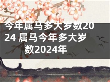 今年属马多大岁数2024 属马今年多大岁数2024年