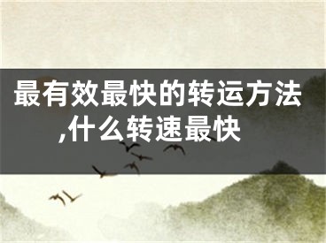 最有效最快的转运方法,什么转速最快