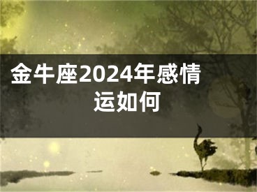 金牛座2024年感情运如何