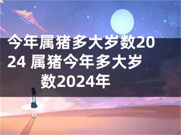 今年属猪多大岁数2024 属猪今年多大岁数2024年