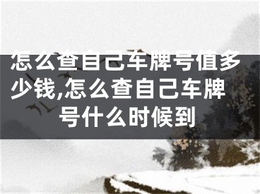 怎么查自己车牌号值多少钱,怎么查自己车牌号什么时候到